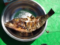/album/photogallery-ngwe-saung-beach/wer-66-jpg/